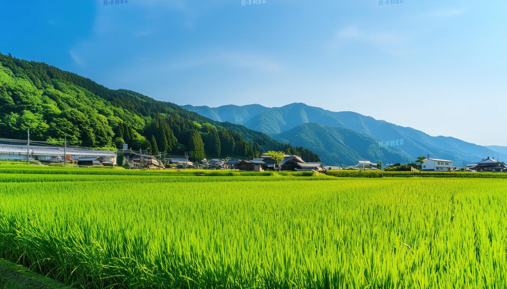 日本の田園風景と青空