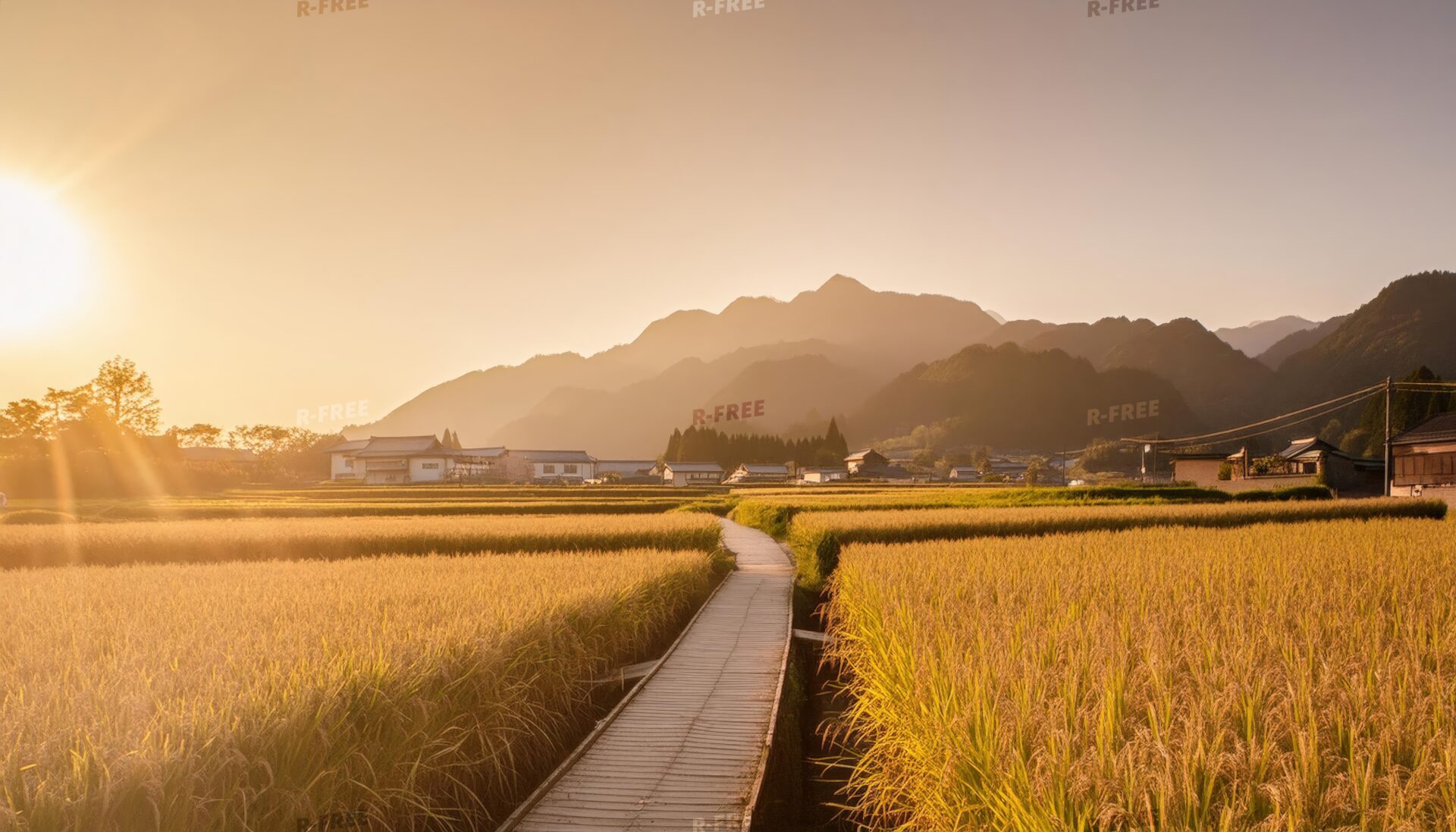 夕暮れの田園と山並み