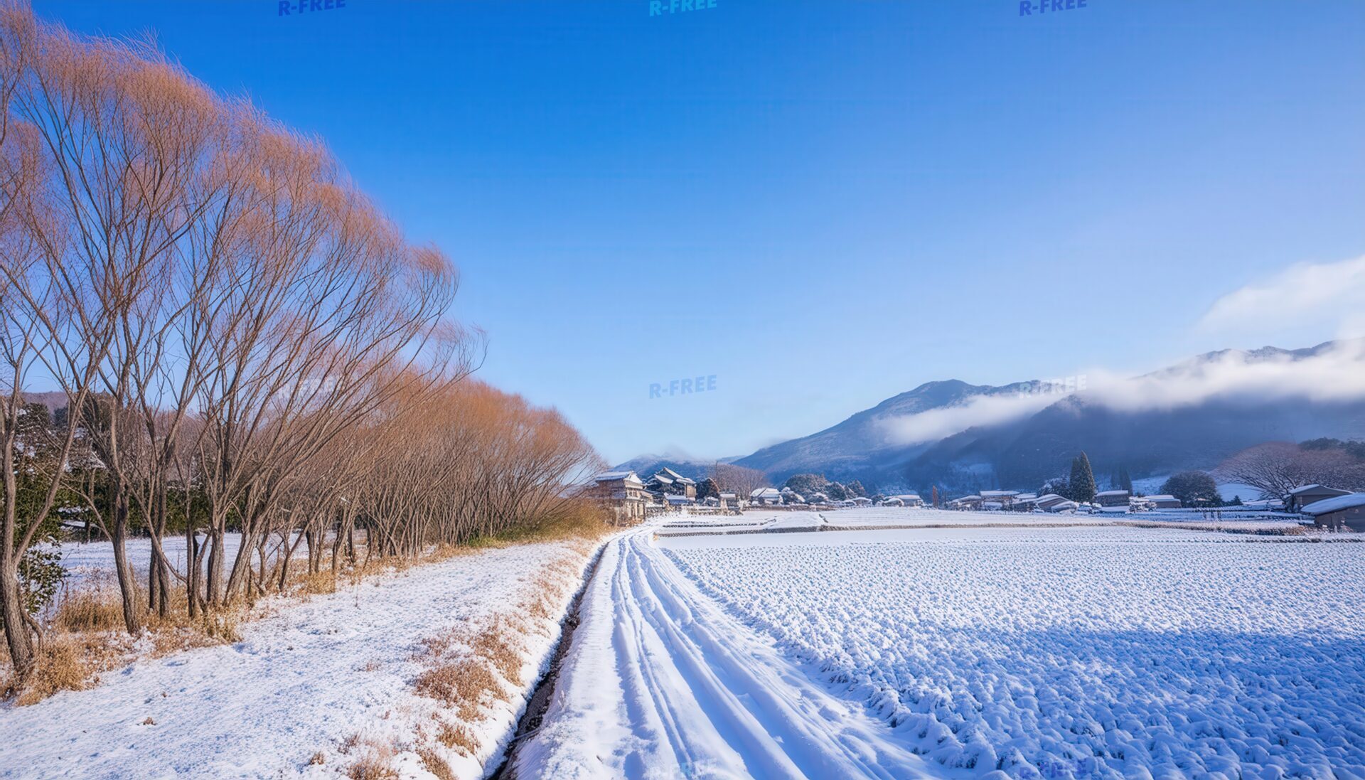 冬の里山と農道