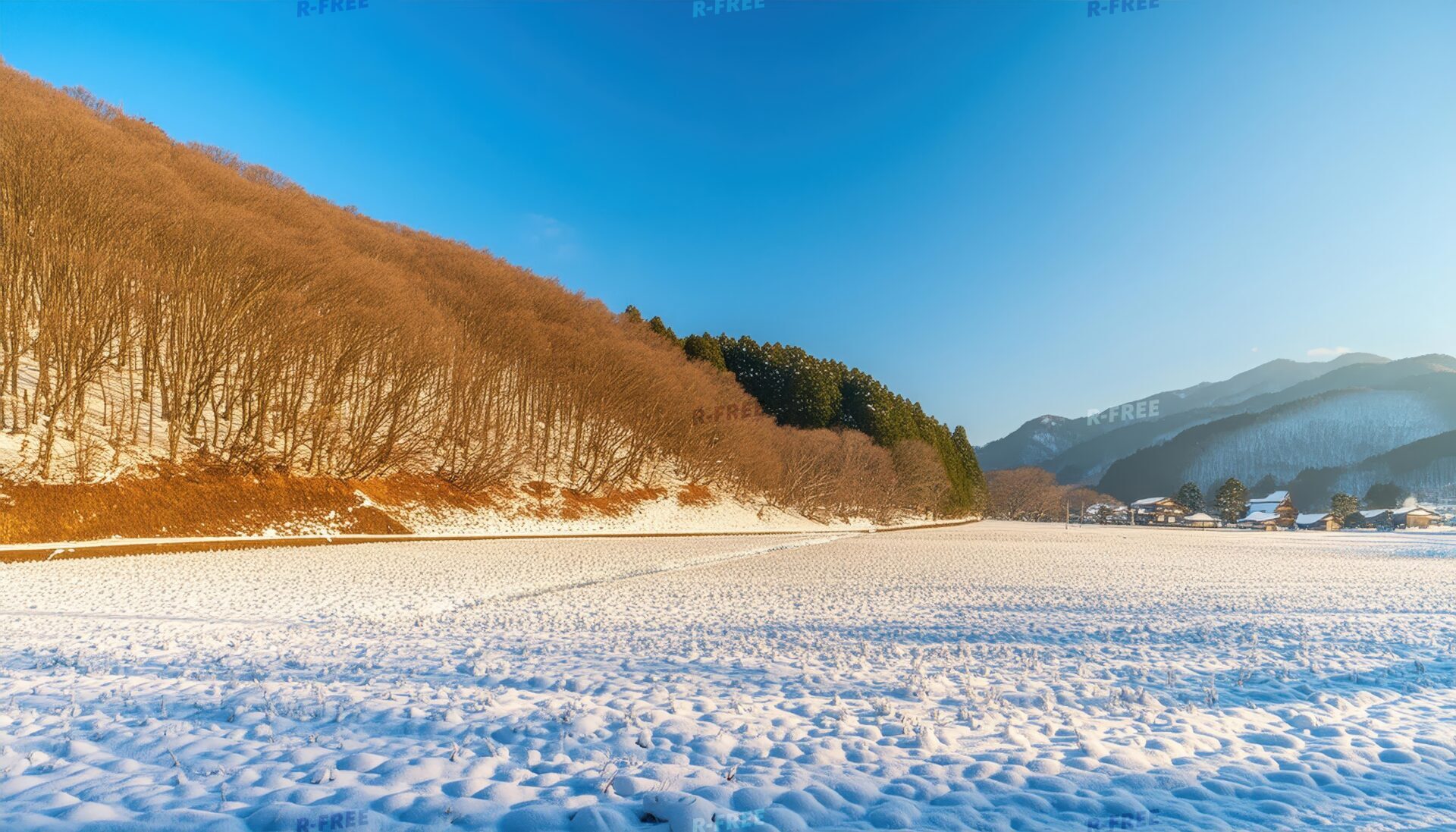雪の里山と斜面林