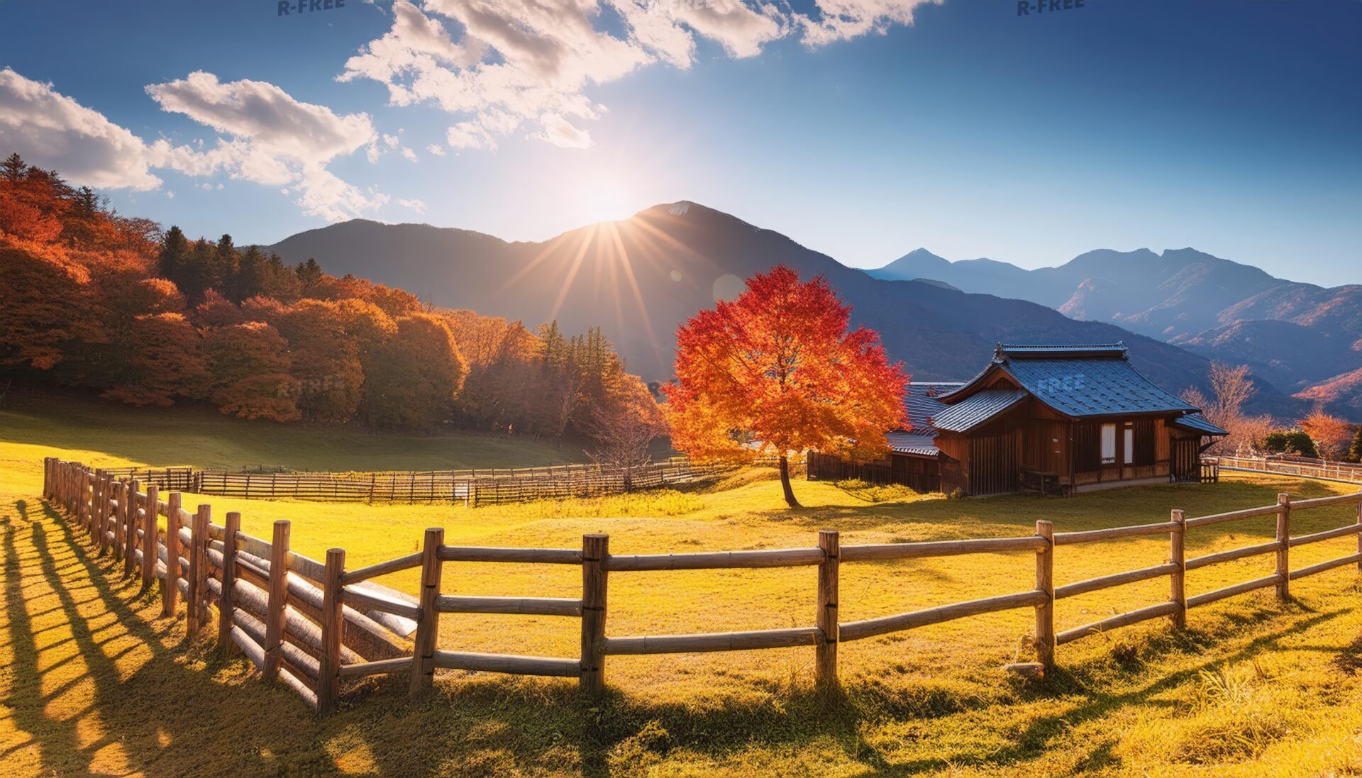 秋の田舎風景