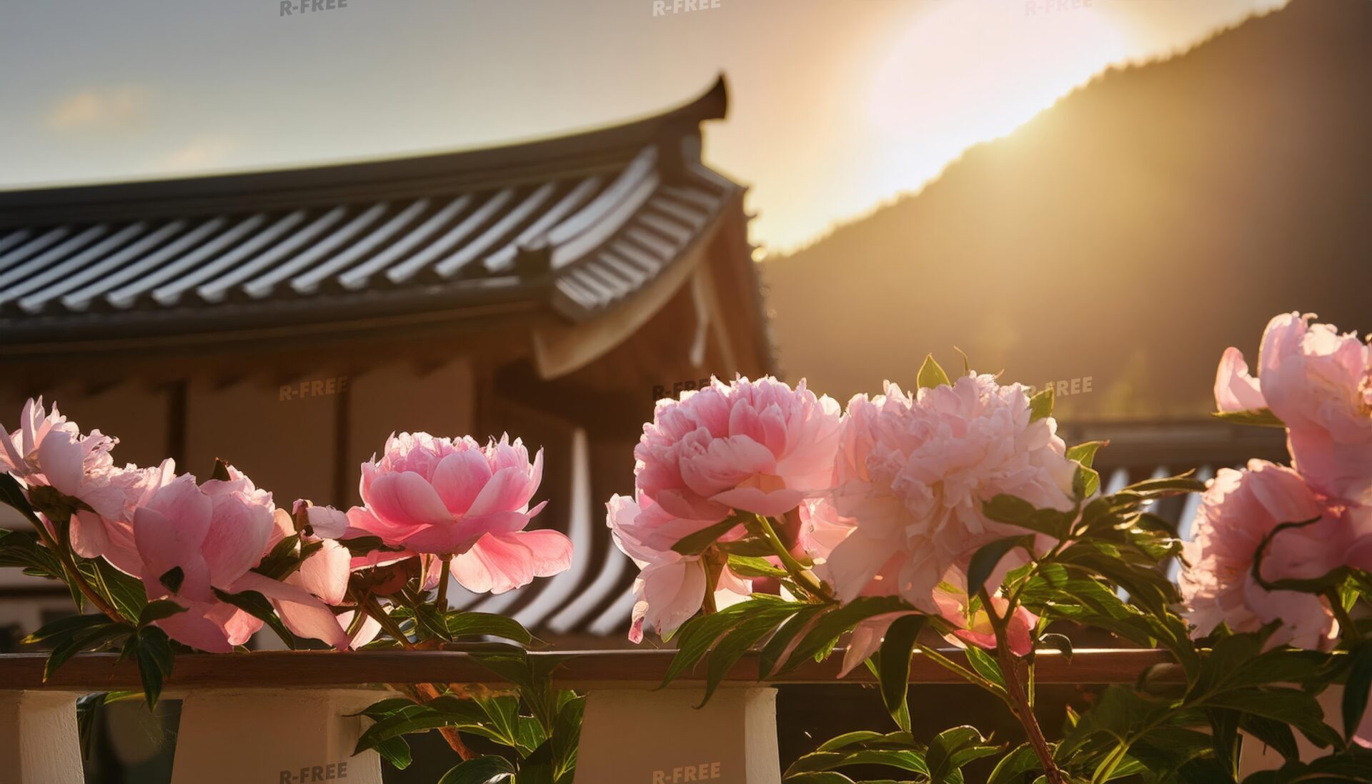 牡丹の花と日本建築の屋根