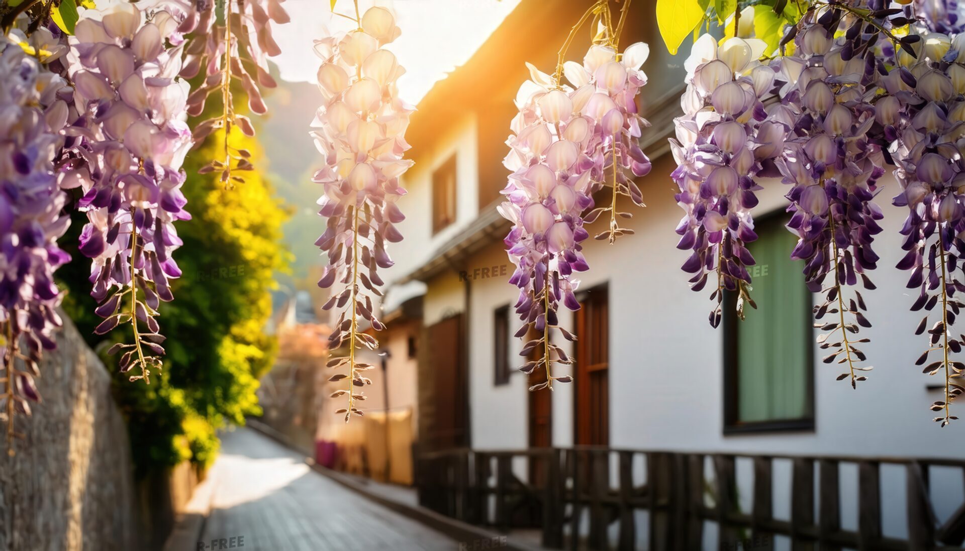 藤の花と古い街並み