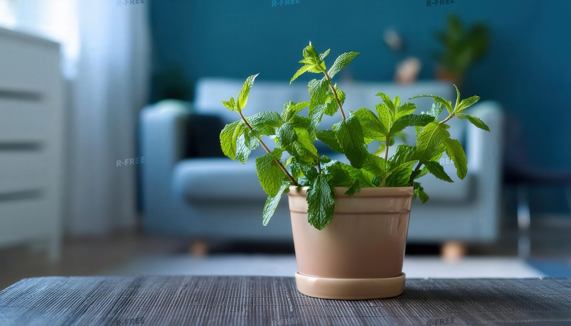 ベージュポットに植えられた新鮮なミント