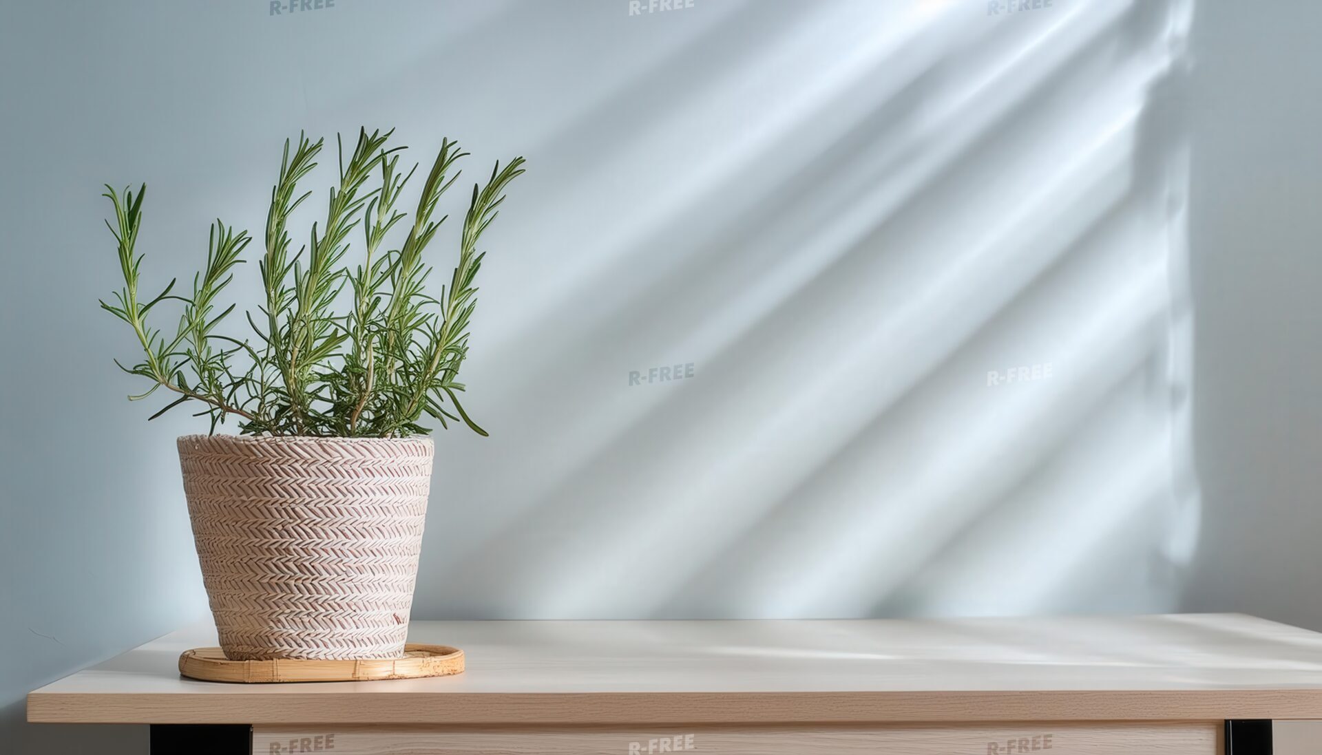 木のテーブルに置かれた籠の鉢植えローズマリー