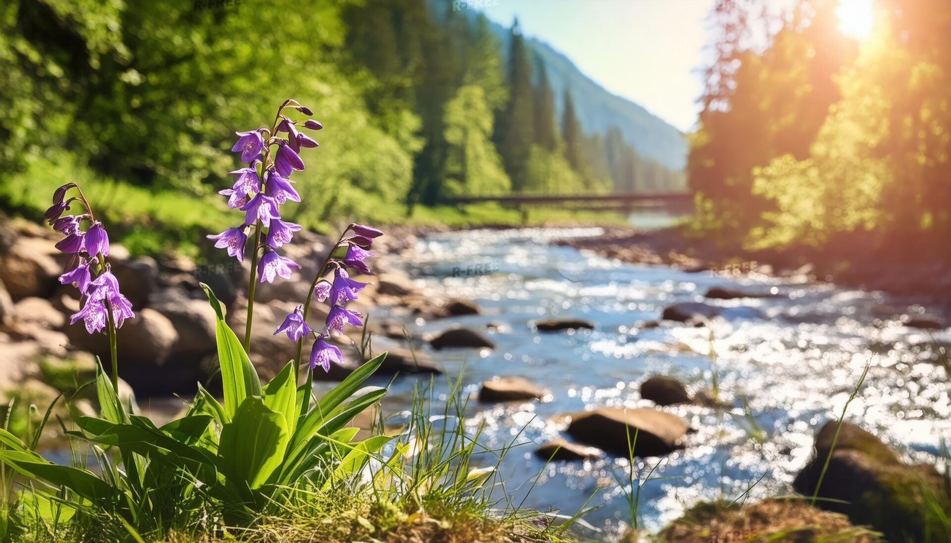 川辺に咲く紫の花と森林の風景
