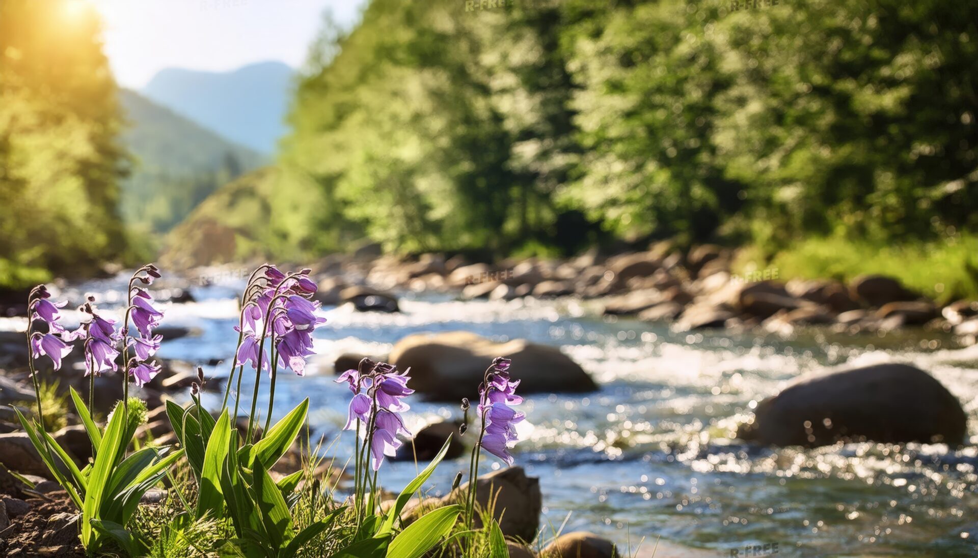 渓流沿いに咲く山の花