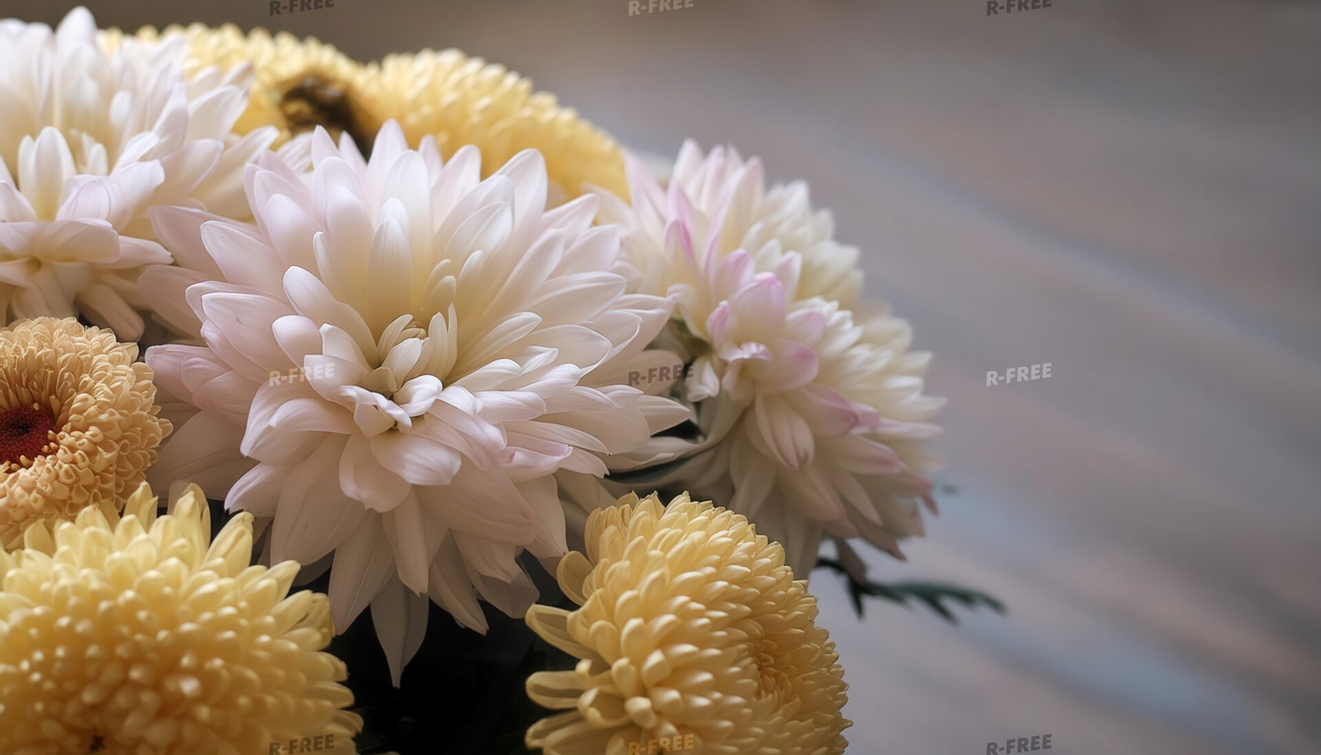 白と淡い黄色の菊の花束