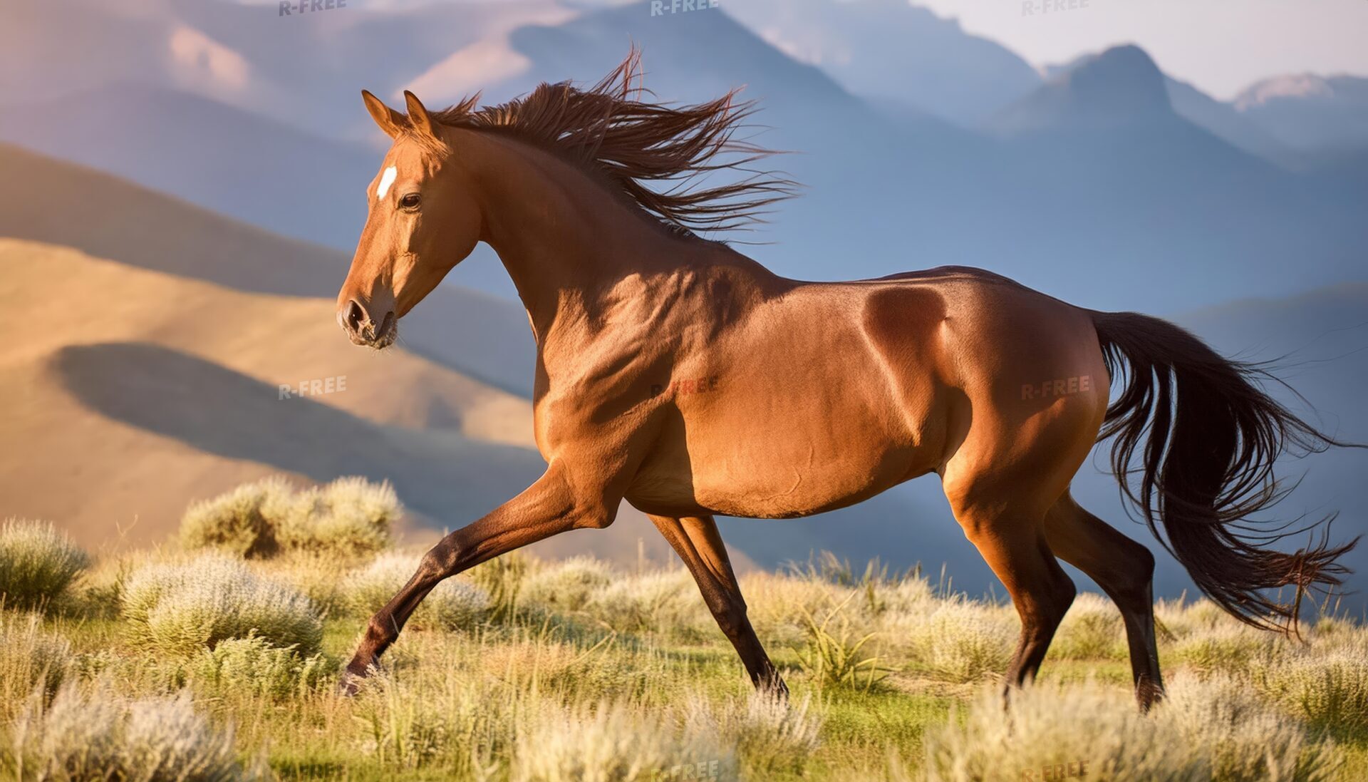走る栗毛の馬