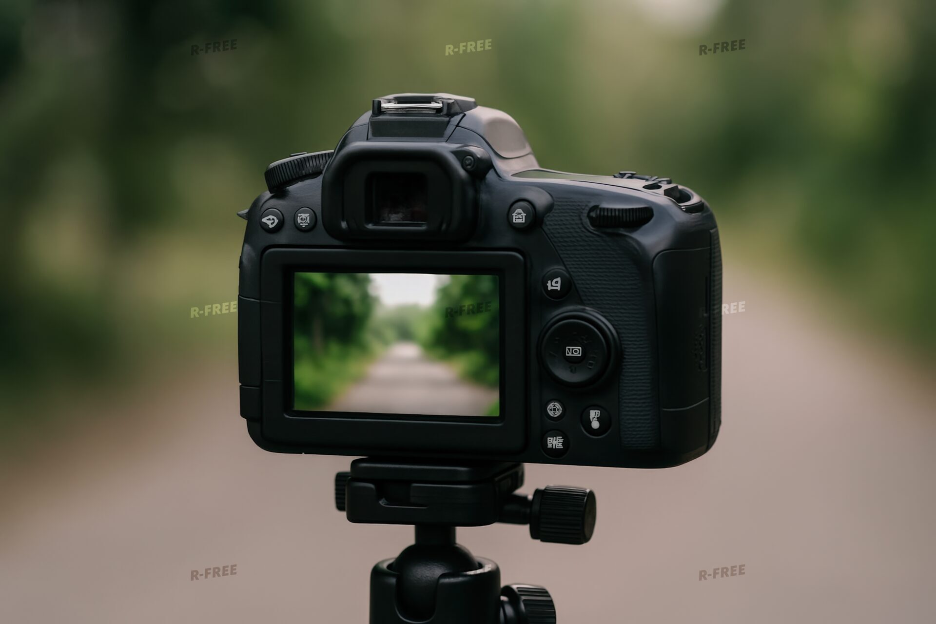 一眼レフカメラの液晶に映る道（屋外）