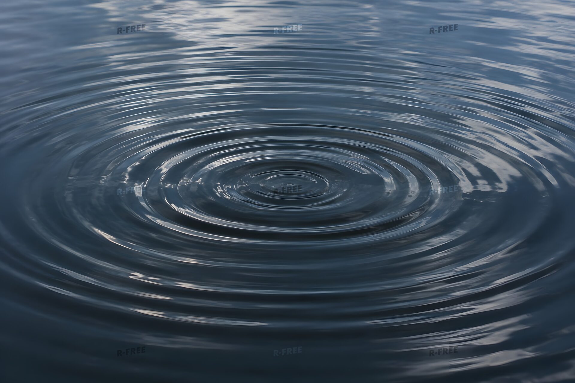 暗い水面に広がる波紋