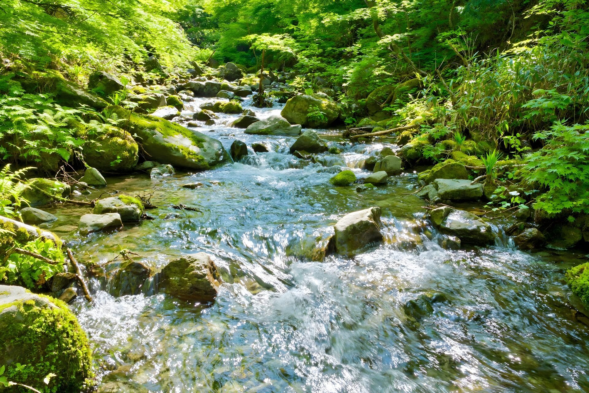 苔むした岩の間を流れる渓流