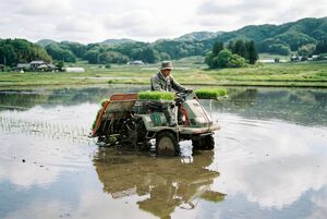 田植え機で苗を植える農家