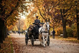 紅葉の並木道を進む馬車
